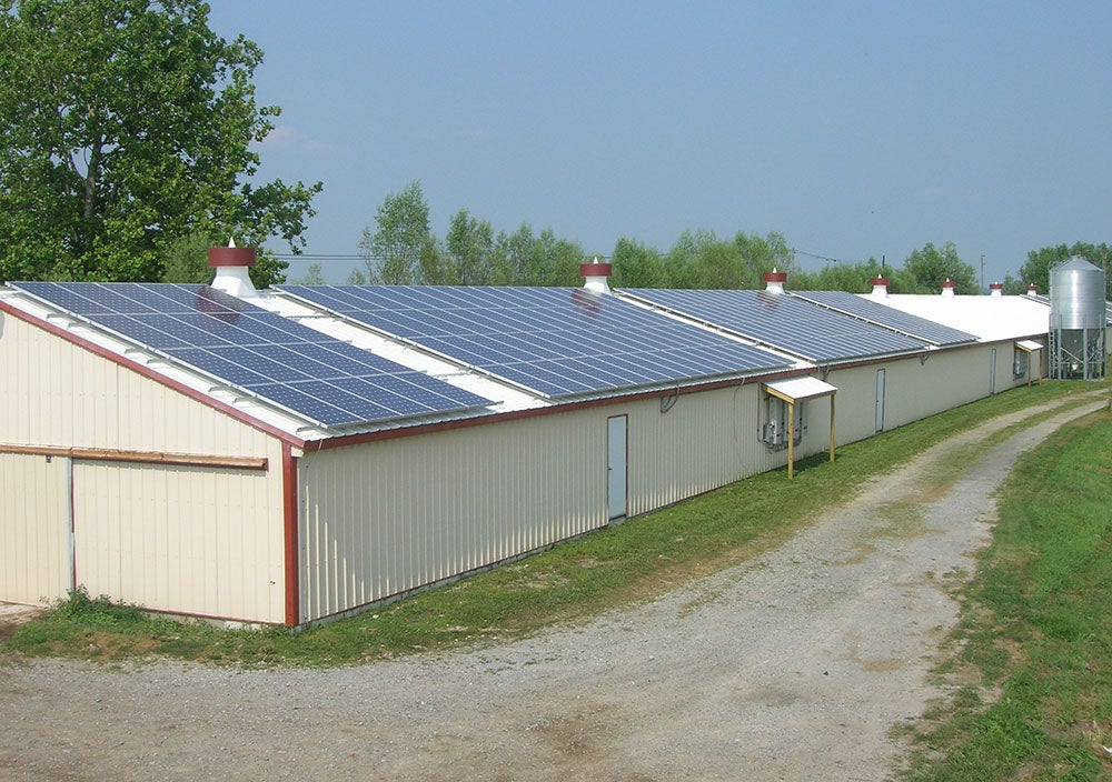 82 kW Roof Mount on Poultry House in PA