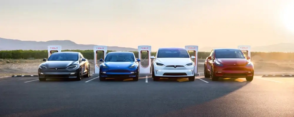 Different tesla models lined up side by side at Supercharger stations.